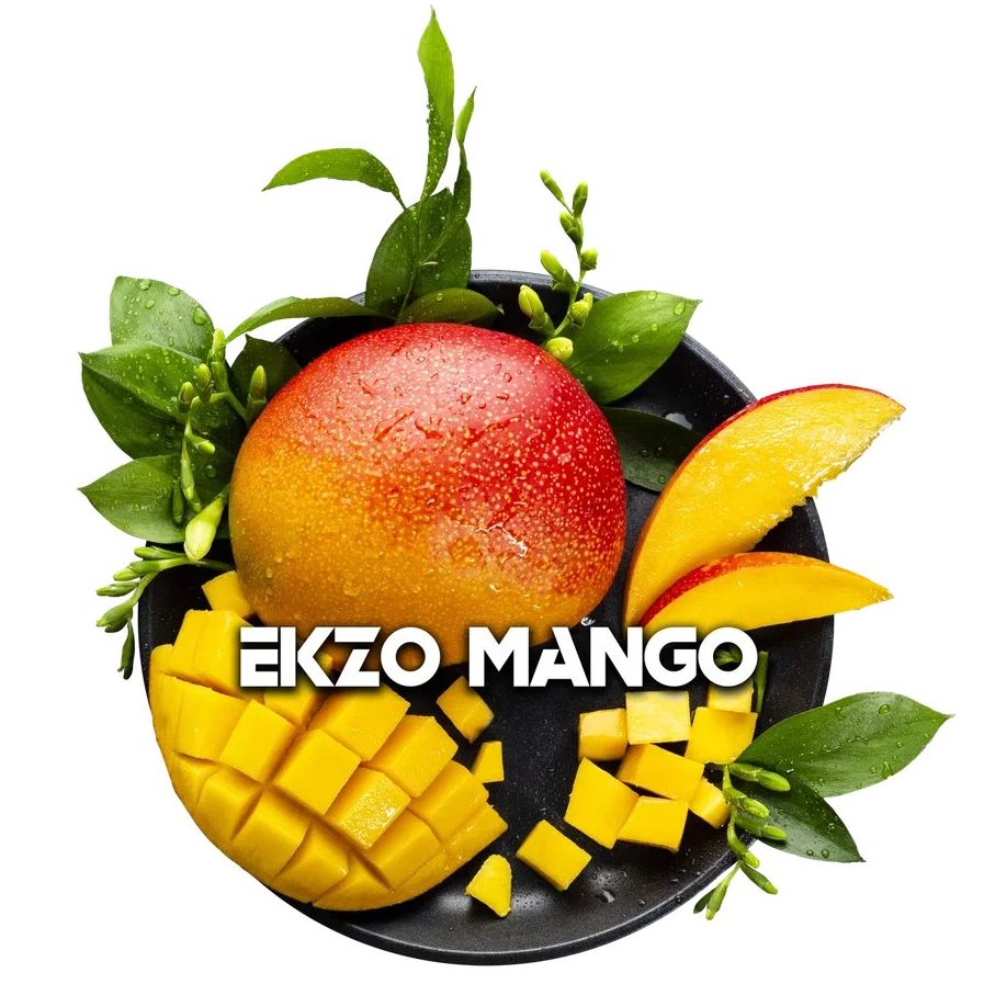 Blackburn Ekzo Mango