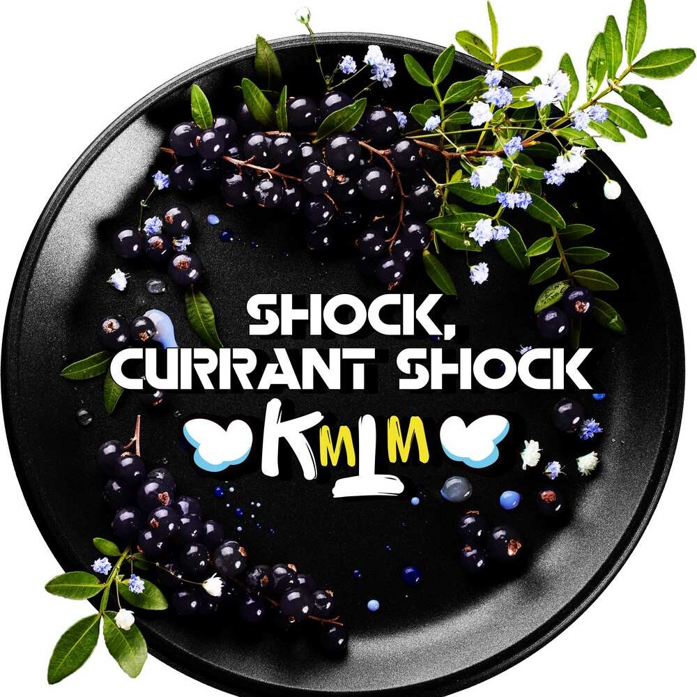 Blackburn Shock Currant Shock