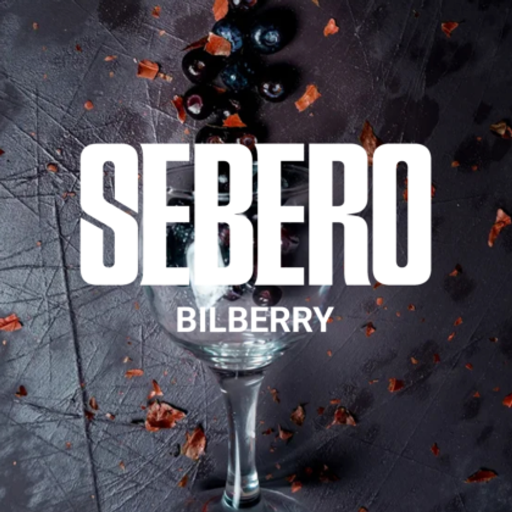 SEBERO Classic - Bilberry