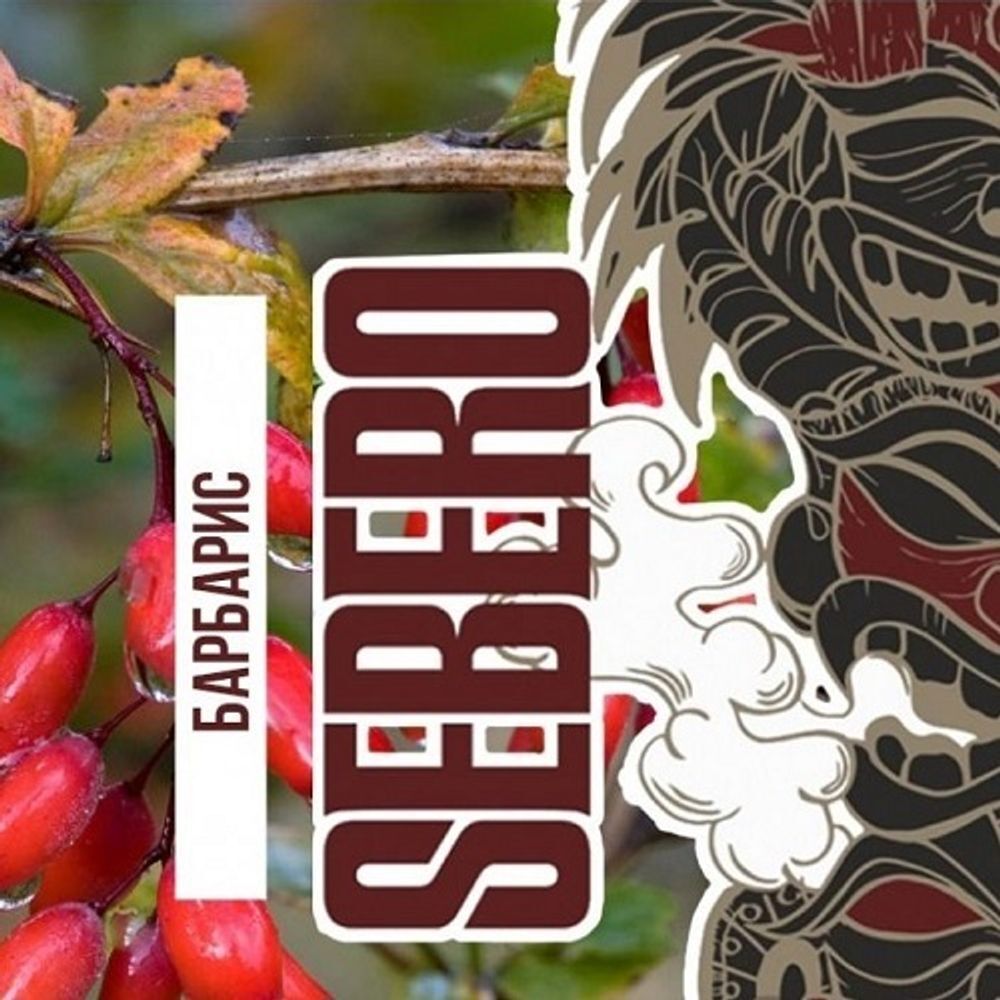 SEBERO Classic - Barberry