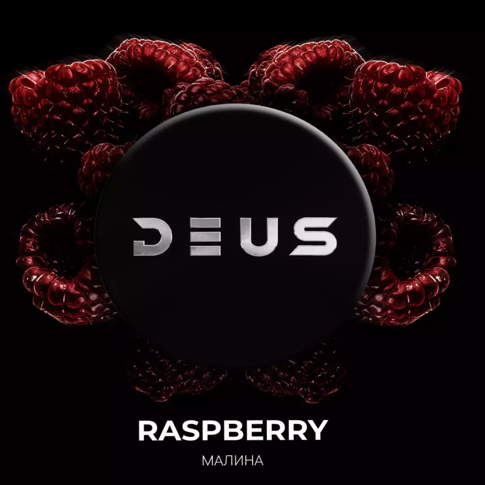 DEUS Raspberry