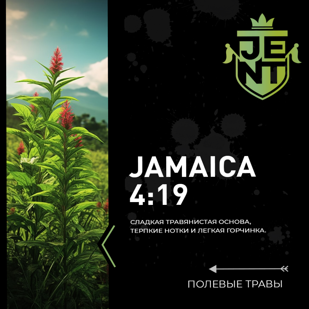 Jent Herbal Jamaica 4:19 (Field Herbs)