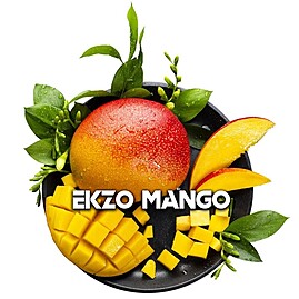 Blackburn Ekzo Mango