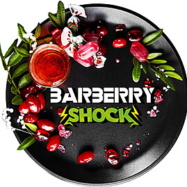 BlackBurn Barberry Shock