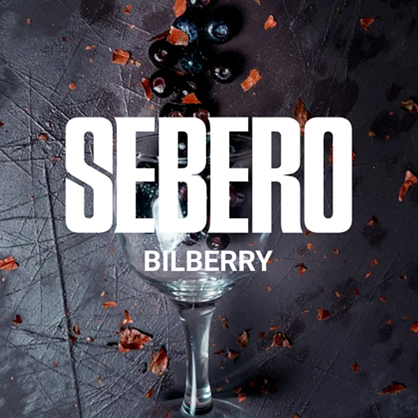 SEBERO Classic - Bilberry