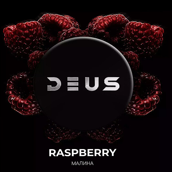 DEUS Raspberry